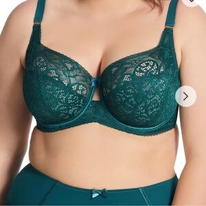 Sculptresse  Elegant Lace Teal Bra